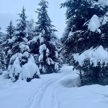 アパート Eva Maria 1