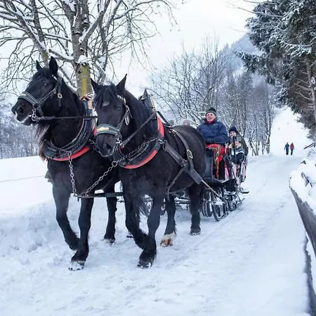 Eva Maria 1 アパート