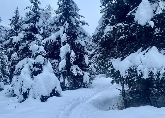 アパート Eva Maria 1